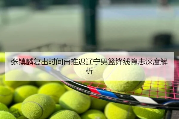 张镇麟复出时间再推迟辽宁男篮锋线隐患深度解析