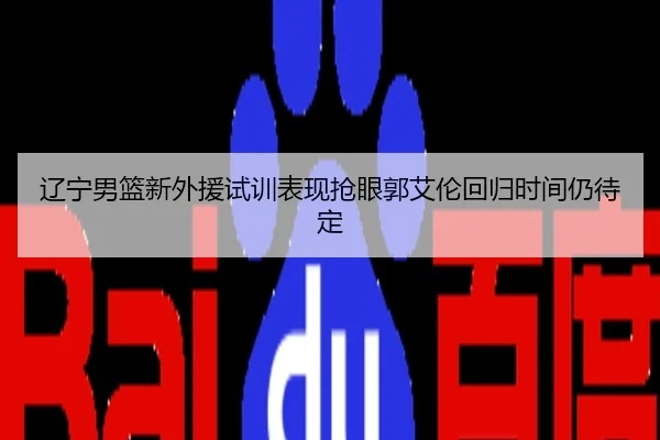 辽宁男篮新外援试训表现抢眼郭艾伦回归时间仍待定